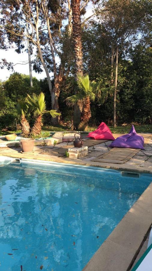 Le Bonheur Avec Piscine Et Jardin Cassis