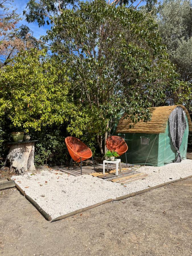 Le Bonheur Avec Piscine Et Jardin Cassis